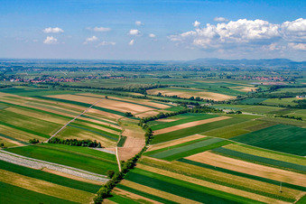 Vue aérienne de Schleidgraben jusqu'à la sortie Landau Sud de l'A65 à le quartier Mörlheim in Landau in der Pfalz dans le département Rhénanie-Palatinat, Allemagne