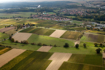 Quartier Altenstadt in Wissembourg dans le département Bas Rhin, France vue d'en haut