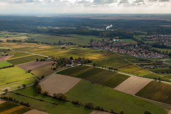 Quartier Altenstadt in Wissembourg dans le département Bas Rhin, France depuis l'avion