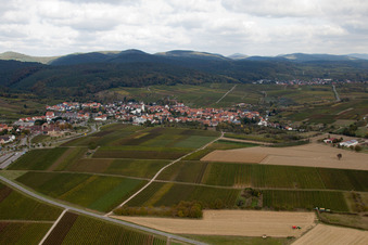 Vue aérienne de Vue d'un village viticole depuis le sud à le quartier Rechtenbach in Schweigen-Rechtenbach dans le département Rhénanie-Palatinat, Allemagne