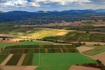 Vue aérienne de Vue de la ville depuis le sud-est à Oberotterbach dans le département Rhénanie-Palatinat, Allemagne