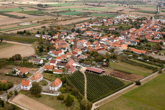 Photographie aérienne de Champs agricoles et terres agricoles à Schweighofen dans le département Rhénanie-Palatinat, Allemagne