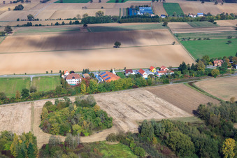 Vue aérienne de Gare de Schaidt à Steinfeld dans le département Rhénanie-Palatinat, Allemagne