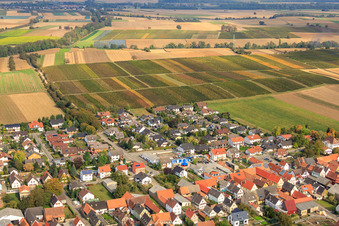 Vue aérienne de Au vignoble à Freckenfeld dans le département Rhénanie-Palatinat, Allemagne