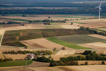Vue aérienne de Éolienne à la ferme Altmühle en bordure des champs cultivés à Minfeld dans le département Rhénanie-Palatinat, Allemagne
