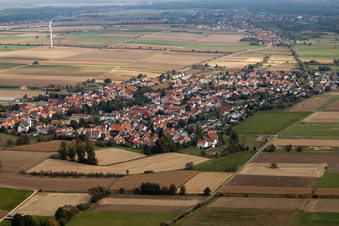 Vue aérienne de Champs agricoles et terres agricoles à Minfeld dans le département Rhénanie-Palatinat, Allemagne
