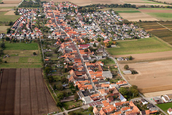 Vue oblique de Champs agricoles et terres agricoles à Freckenfeld dans le département Rhénanie-Palatinat, Allemagne
