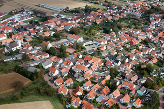 Photographie aérienne de Champs agricoles et terres agricoles à Minfeld dans le département Rhénanie-Palatinat, Allemagne