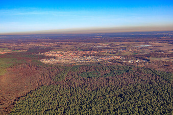 Vue aérienne de La ville derrière le Bienwald vue du sud-ouest à Jockgrim dans le département Rhénanie-Palatinat, Allemagne
