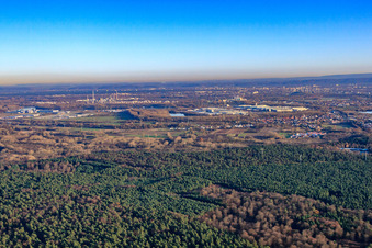 Vue aérienne de Ville derrière le Bienwald vue du nord-ouest à Wörth am Rhein dans le département Rhénanie-Palatinat, Allemagne