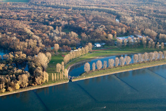 Vue aérienne de Plage de Rappenwört au bord du Rhin à le quartier Daxlanden in Karlsruhe dans le département Bade-Wurtemberg, Allemagne