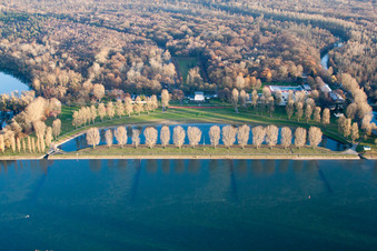 Vue aérienne de Plage de Rappenwört au bord du Rhin à le quartier Daxlanden in Karlsruhe dans le département Bade-Wurtemberg, Allemagne