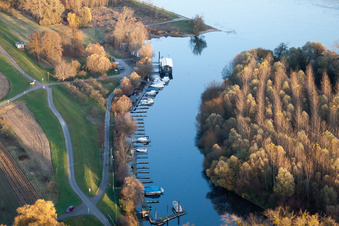 Vue aérienne de Port de plaisance dans l'estuaire de la Lauter jusqu'au Rhin à Neuburg am Rhein dans le département Rhénanie-Palatinat, Allemagne