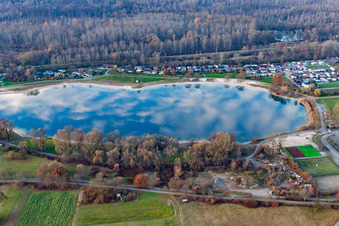 Vue aérienne de Zones riveraines du lac de la Guilde des pêcheurs Plittersdorf 1964 eV à le quartier Plittersdorf in Rastatt dans le département Bade-Wurtemberg, Allemagne