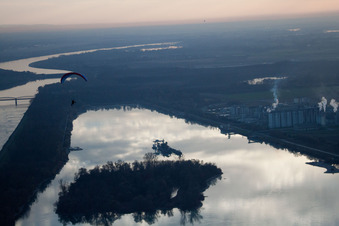 Vue aérienne de Zones forestières au bord du lac Beinheimer See sur le Rhin à Beinheim à Seltz dans le département Bas Rhin, France