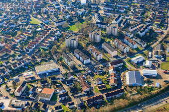 Vue aérienne de Pâturage nocturne à le quartier Maximiliansau in Wörth am Rhein dans le département Rhénanie-Palatinat, Allemagne
