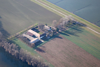 Vue aérienne de Maxau, Hofgut à le quartier Knielingen in Karlsruhe dans le département Bade-Wurtemberg, Allemagne