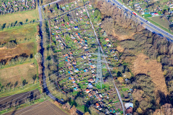 Vue aérienne de Association de jardins familiaux Am Kastanienbaum e. V à le quartier Knielingen in Karlsruhe dans le département Bade-Wurtemberg, Allemagne