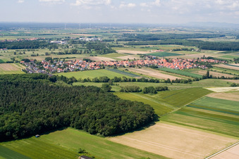 Photographie aérienne de Du nord à Erlenbach bei Kandel dans le département Rhénanie-Palatinat, Allemagne