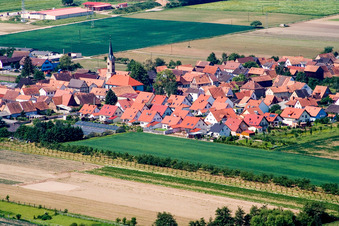 Vue aérienne de Champs agricoles et terres agricoles à Erlenbach bei Kandel dans le département Rhénanie-Palatinat, Allemagne