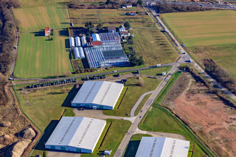 Vue aérienne de Felix Trauth Horticulture à le quartier Knielingen in Karlsruhe dans le département Bade-Wurtemberg, Allemagne