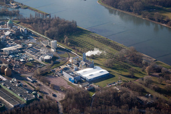 Vue oblique de Maxau, Stora Enso à le quartier Knielingen in Karlsruhe dans le département Bade-Wurtemberg, Allemagne