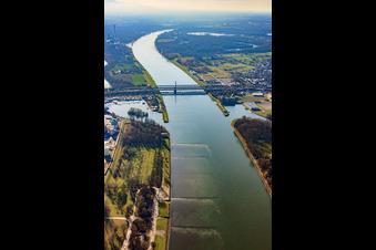 Vue aérienne de Rivière - Structures de pont sur le Rhin de Karlsruhe à Wörth am Rhein à le quartier Knielingen in Karlsruhe dans le département Bade-Wurtemberg, Allemagne