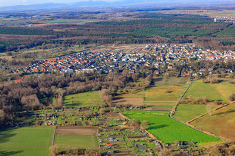 Vue aérienne de Vue de la ville depuis l'est à Jockgrim dans le département Rhénanie-Palatinat, Allemagne