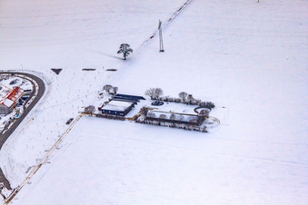 Vue aérienne de Ferme en hiver avec de la neige à Kandel dans le département Rhénanie-Palatinat, Allemagne