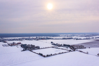 Vue aérienne de Schoßberghof à Minfeld dans le département Rhénanie-Palatinat, Allemagne