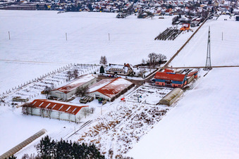 Vue aérienne de Marché du village de Schoßberghof En hiver avec de la neige à Minfeld dans le département Rhénanie-Palatinat, Allemagne