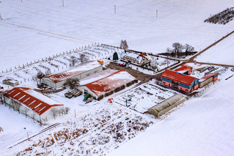 Photographie aérienne de Marché du village de Schoßberghof En hiver avec de la neige à Minfeld dans le département Rhénanie-Palatinat, Allemagne