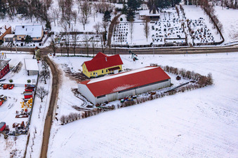 Vue aérienne de Gockelwirt en hiver quand il y a de la neige à Minfeld dans le département Rhénanie-Palatinat, Allemagne