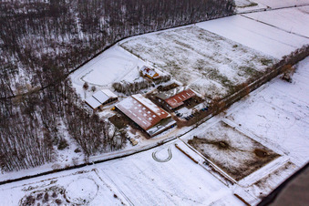 Vue aérienne de Le haras islandais en hiver sous la neige à Freckenfeld dans le département Rhénanie-Palatinat, Allemagne