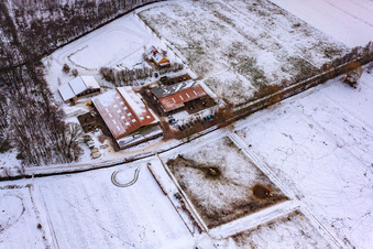 Vue aérienne de Le haras islandais en hiver sous la neige à Freckenfeld dans le département Rhénanie-Palatinat, Allemagne