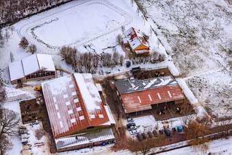 Photographie aérienne de Le haras islandais en hiver sous la neige à Freckenfeld dans le département Rhénanie-Palatinat, Allemagne