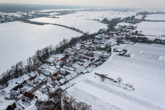 Vue aérienne de Champs agricoles et terres agricoles enneigés en hiver à Vollmersweiler dans le département Rhénanie-Palatinat, Allemagne