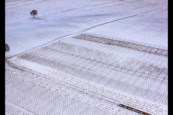 Photographie aérienne de Vignoble d'hiver à le quartier Kleinsteinfeld in Niederotterbach dans le département Rhénanie-Palatinat, Allemagne