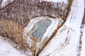 Vue aérienne de Étang gelé dans la neige dans le biotope Billigheimer Bruch à Hergersweiler dans le département Rhénanie-Palatinat, Allemagne