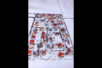 Vue aérienne de Nouvelle zone de développement Brotäcker sous la neige à Steinweiler dans le département Rhénanie-Palatinat, Allemagne