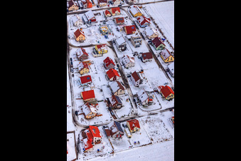 Vue oblique de Nouvelle zone de développement Brotäcker sous la neige à Steinweiler dans le département Rhénanie-Palatinat, Allemagne