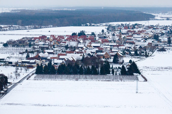 Vue aérienne de En hiver avec de la neige venant de l'ouest à Erlenbach bei Kandel dans le département Rhénanie-Palatinat, Allemagne