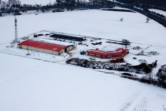 Vue aérienne de Ferme avicole et ferme d'œufs en hiver avec de la neige à Erlenbach bei Kandel dans le département Rhénanie-Palatinat, Allemagne