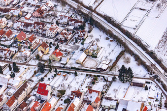 Vue aérienne de Jardin de mirabelles sous la neige à Kandel dans le département Rhénanie-Palatinat, Allemagne