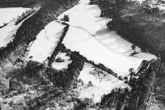 Vue aérienne de Clairières enneigées Forêt d'hiver à Schmerbach à Jockgrim dans le département Rhénanie-Palatinat, Allemagne