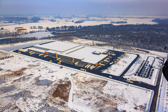 Vue aérienne de Zone industrielle d'Oberwald, centre logistique Netto en hiver avec neige à Wörth am Rhein dans le département Rhénanie-Palatinat, Allemagne