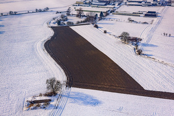 Vue aérienne de Champ fraîchement fumé en hiver avec de la neige à Neupotz dans le département Rhénanie-Palatinat, Allemagne