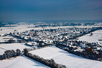 Vue aérienne de Champs agricoles et terres agricoles enneigés en hiver à Neupotz dans le département Rhénanie-Palatinat, Allemagne