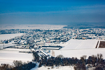 Vue aérienne de Champs agricoles et terres agricoles enneigés en hiver à Rheinzabern dans le département Rhénanie-Palatinat, Allemagne