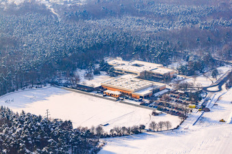 Vue aérienne de IGS Rheinzabern, Römerbadschule en hiver avec de la neige à Rheinzabern dans le département Rhénanie-Palatinat, Allemagne